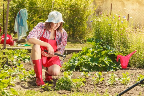 Camden Town garden overview with gardener at work