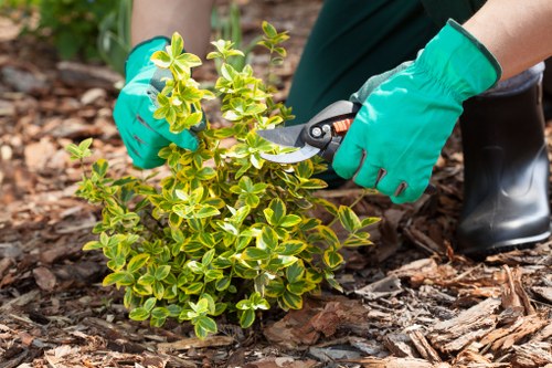 Workers sorting garden waste into labelled sections for recycling and composting