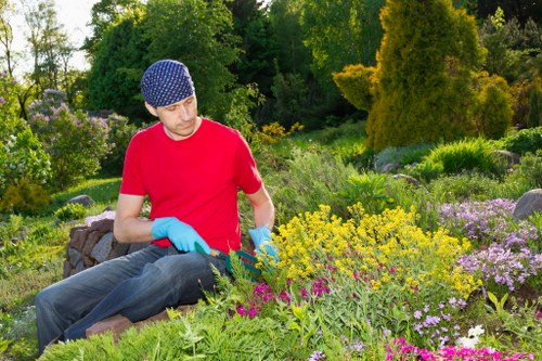 Edible landscape garden project in Camden