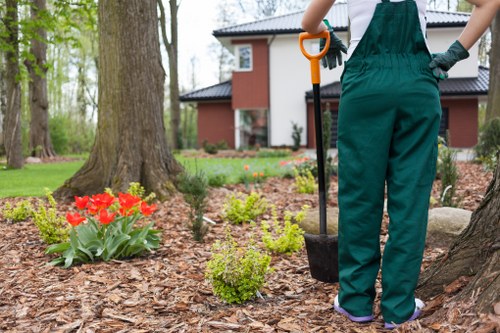 Gardener team clearing debris in terrace garden